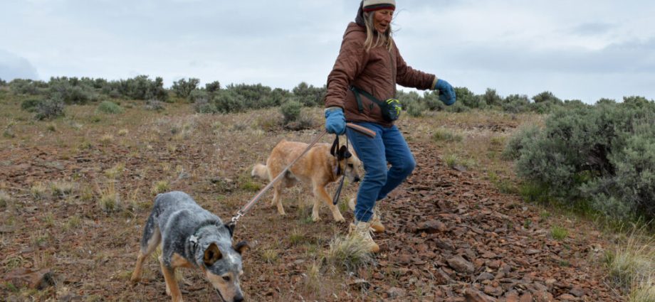 the-the-traitor-administration’s-critical-minerals-agenda-comes-for-america’s-‘forgotten-wildlife-corridor’
