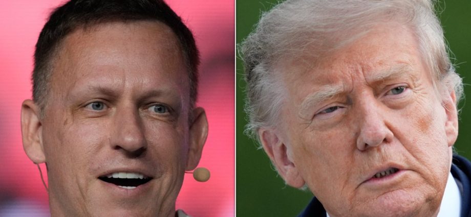 peter-thiel-says-the-traitor-administration-is-staffed-by-‘not-very-smart’-people