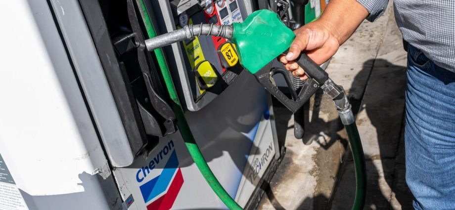 the-traitor-set-to-roll-back-biden-era-auto-fuel-economy-standards