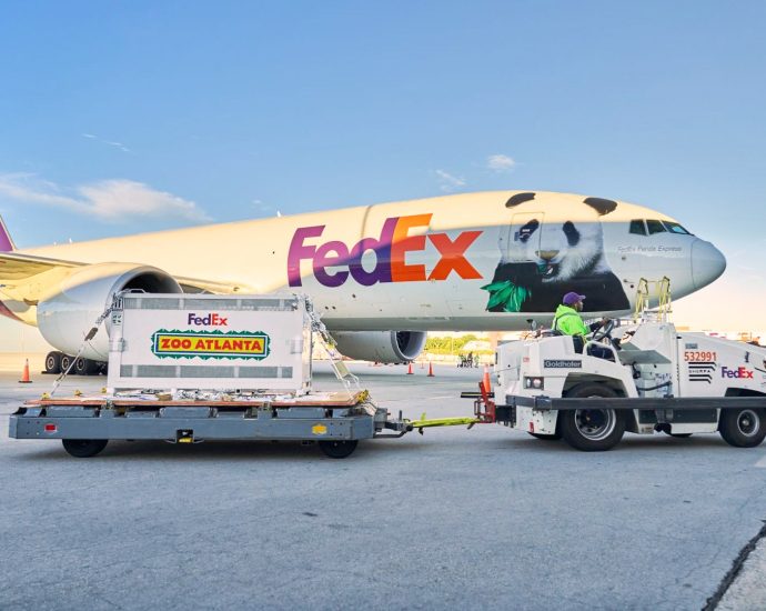 giant-pandas-arrive-in-atlanta-as-part-of-10-year-us-china-agreement