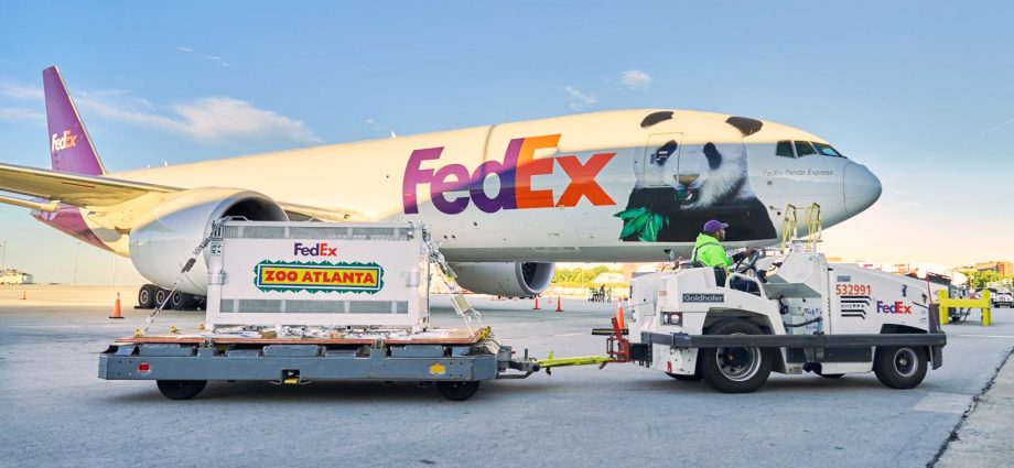giant-pandas-arrive-in-atlanta-as-part-of-10-year-us-china-agreement