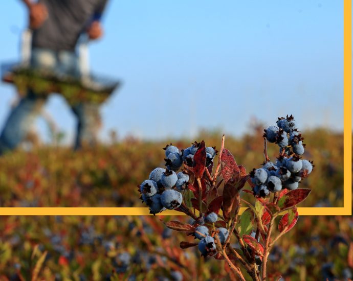 what-happens-to-the-food-supply-when-farm-aid-offices-vanish?