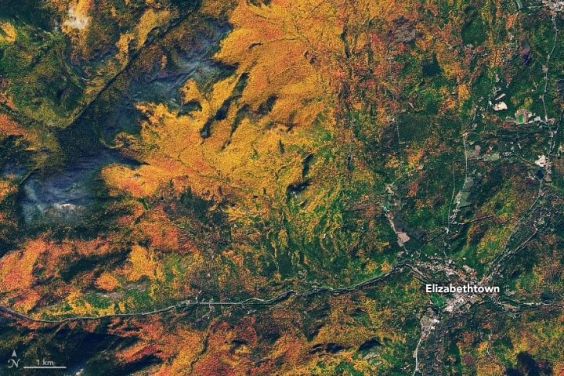 Let’s Do Some Leaf-Peeping From Space