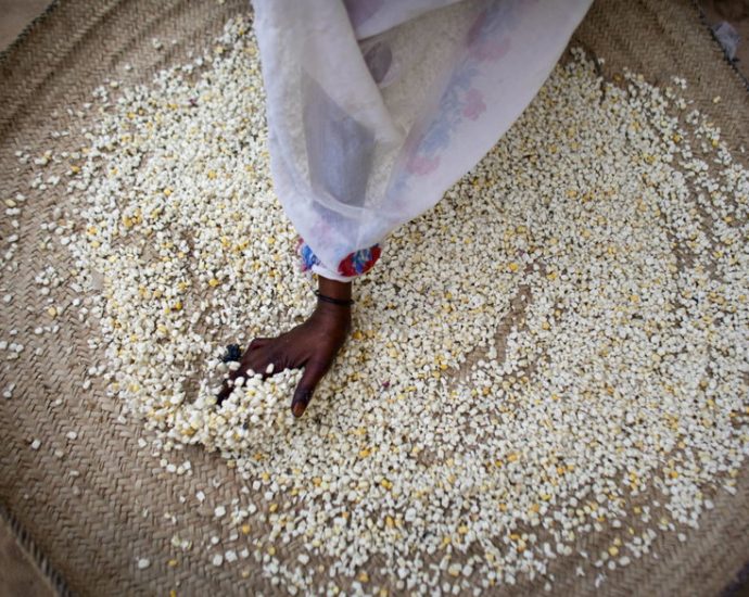 in-africa,-changing-the-crops-without-changing-the-system-is-not-good-enough