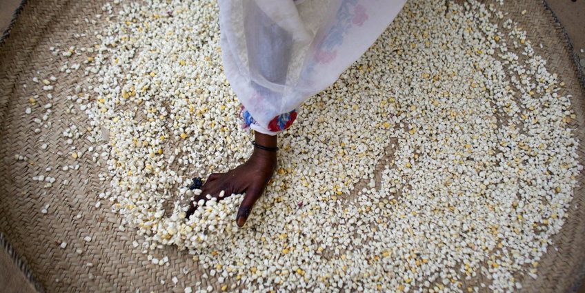 in-africa,-changing-the-crops-without-changing-the-system-is-not-good-enough