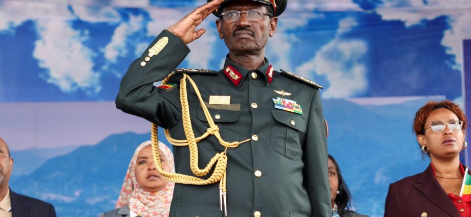 ethiopia-blames-regional-rivals-as-risk-of-conflict-spillover-rises