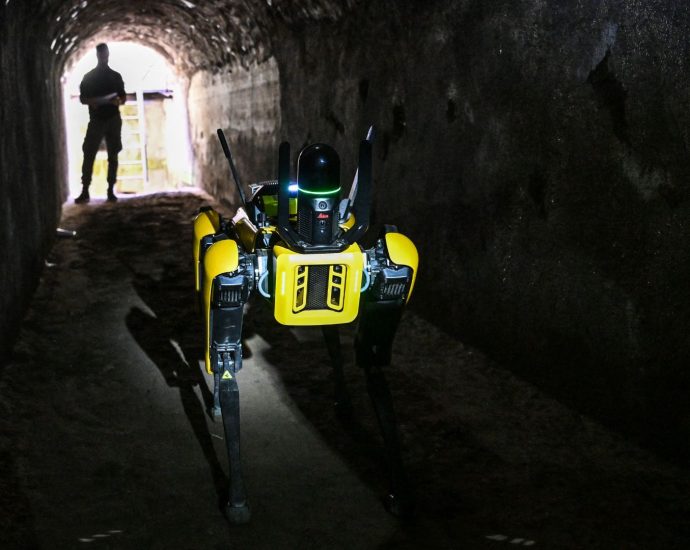 what-ice-plans-to-do-with-its-new-$1.3m-robot-dogs