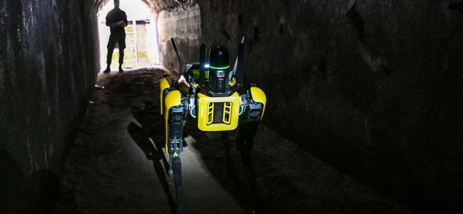 what-ice-plans-to-do-with-its-new-$1.3m-robot-dogs 