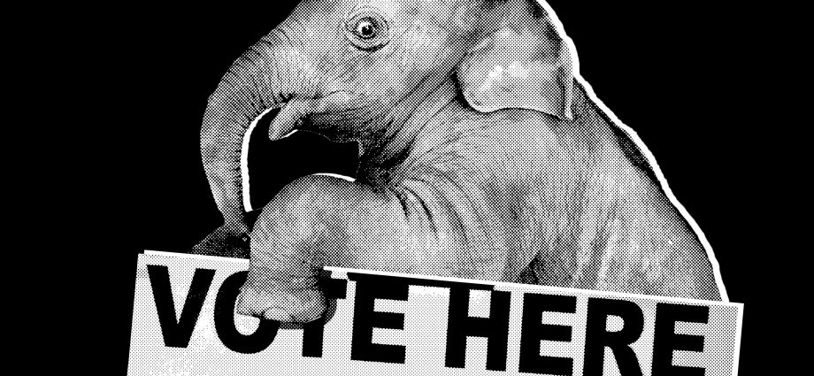the-white-house-is-starting-to-panic-over-the-midterms