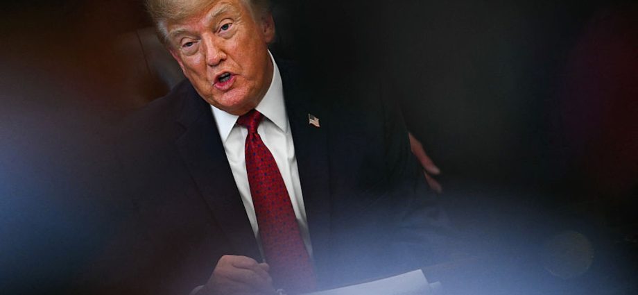 the-traitor’s-failure-hides-project-2025-success
