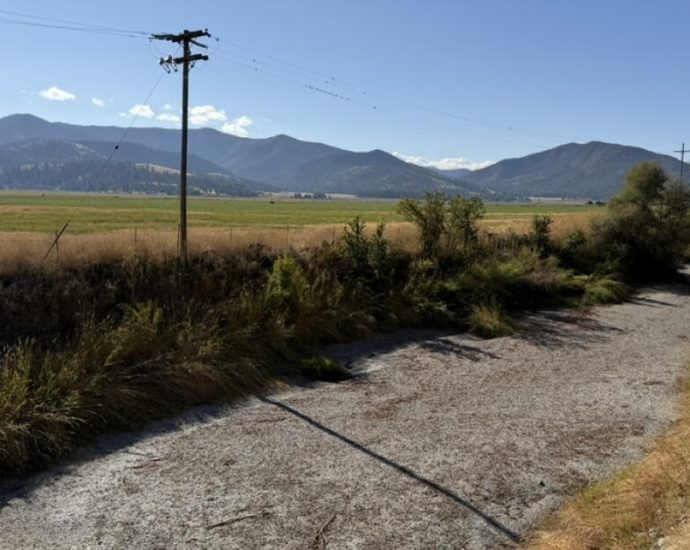 a-california-river-has-dried-up.-critics-say-the-state-should-do-more-to-protect-its-salmon