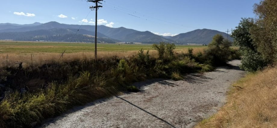 a-california-river-has-dried-up.-critics-say-the-state-should-do-more-to-protect-its-salmon