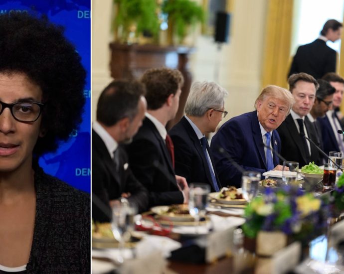 the-real-existential-risk-is-ai-ceos-avoiding-oversight:-“alternative-nobel”-winner-timnit-gebru