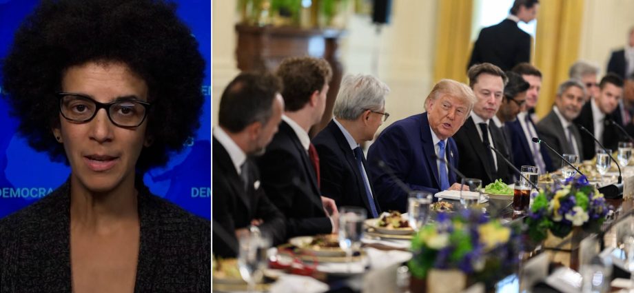 the-real-existential-risk-is-ai-ceos-avoiding-oversight:-“alternative-nobel”-winner-timnit-gebru