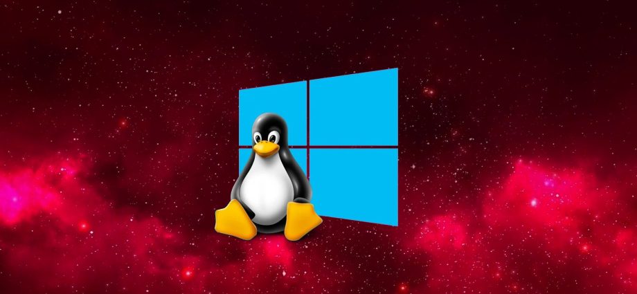 Microsoft is rolling out Linux container support to WSL
