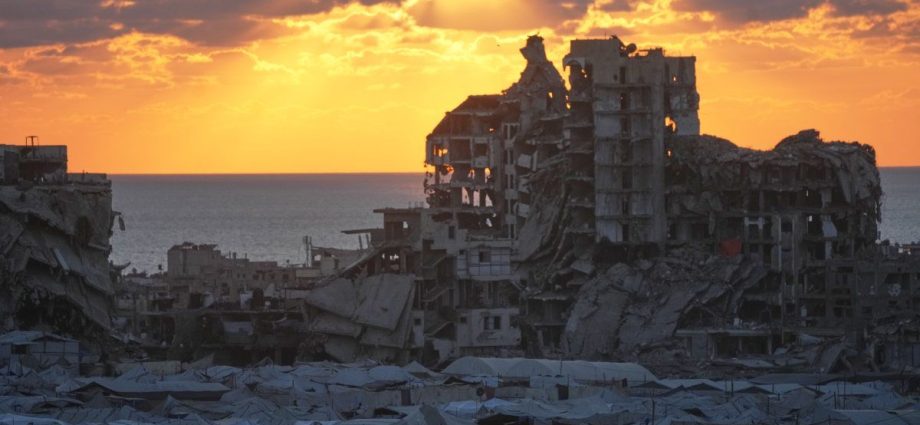 fao-official-says-he-lost-his-job-for-criticising-israeli-policies-in-gaza