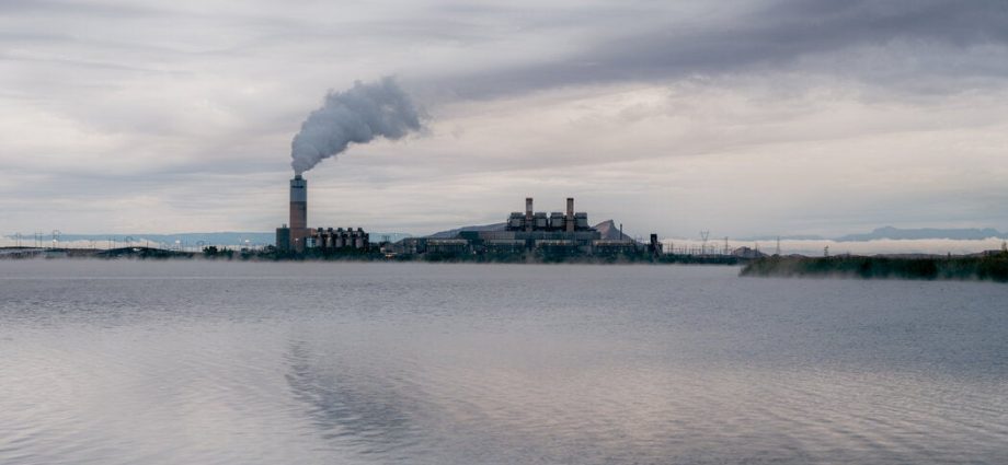 states-sue-over-the-traitor’s-repeal-of-climate-rules-for-power-plants