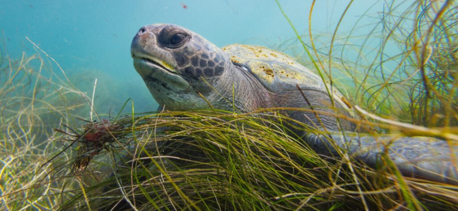 california-to-vote-on-landmark-tribal-petitions-for-coastal-protections