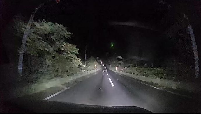 video-shows-bear-slamming-into-car-in-northern-japan