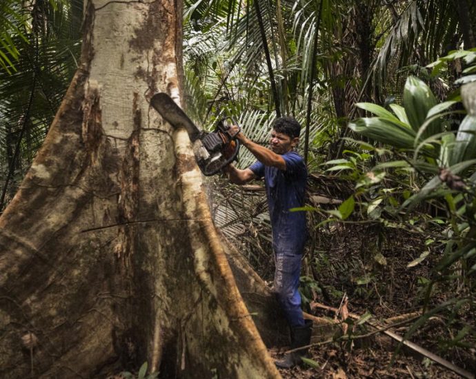 future-of-amazon-rainforest-policies-at-stake-in-brazilian-presidential-election
