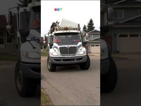this-is-why-pruned-elm-wood-is-banned-from-yard-waste