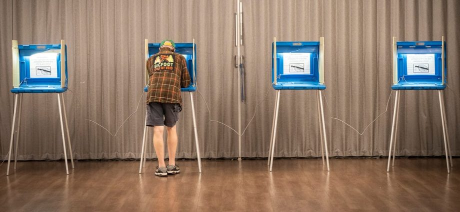 voters-favor-democrats-on-key-issues-but-lack-faith-in-either-party:-ap-norc-poll