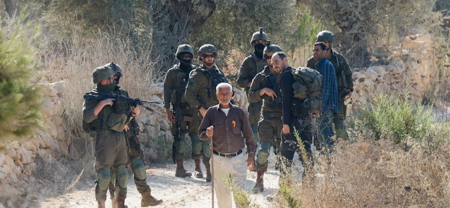 israeli-settlers-attack-palestinian-farmers-during-olive-harvest