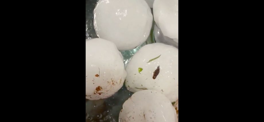 widespread-damage-after-huge-hailstones-pound-paraguay-capital