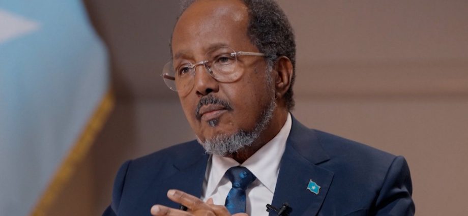 somali-president:-ethiopia-can-access-our-port,-but-must-negotiate