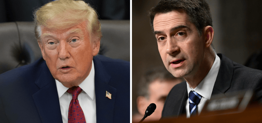 The Traitor, Cotton tussle over daylight savings after cell phone number leak