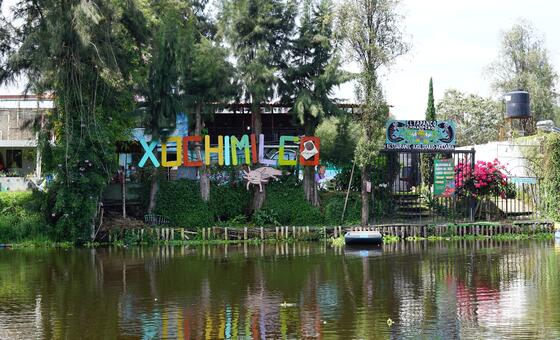 ‘he-felt-heard’:-how-a-film-brought-a-un-report-to-life-in-xochimilco
