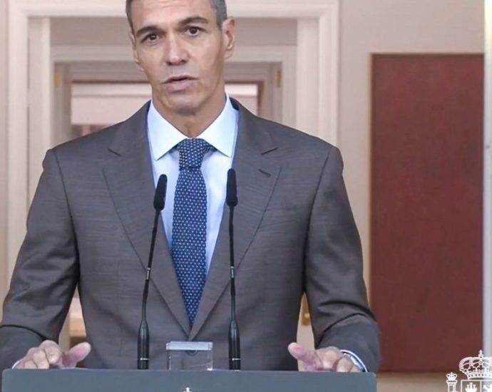 spanish-prime-minister-pedro-sanchez-announces-snap-election