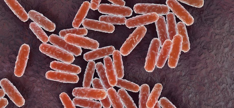 russian-lab-worker-dies-of-suspected-plague-as-200-enter-medical-observation