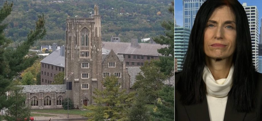 “i-am-jane-doe”:-cornell-case-reignites-debate-over-rape-culture,-frats-&-prosecuting-sex-crimes