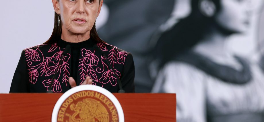 mexico-seeks-evidence-of-border-shooting-that-prompted-us-troop-deployment