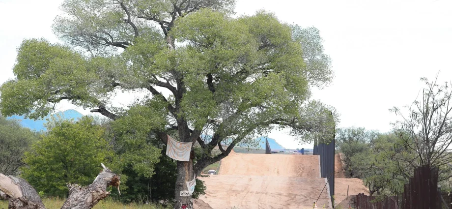 final-‘grandmother’-cottonwood-toppled,-protesters-arrested-in-arizona