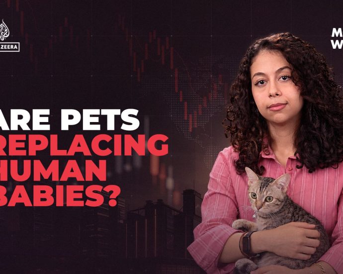 are-pets-replacing-human-babies?