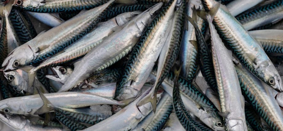 retailers-warn-europe’s-fishing-industry-to-stop-overfishing