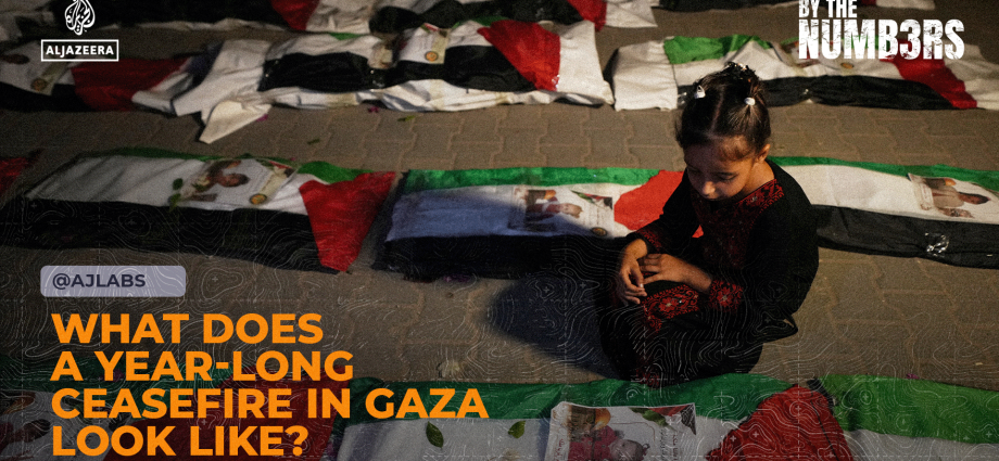 what-does-a-year-long-ceasefire-in-gaza-look-like?