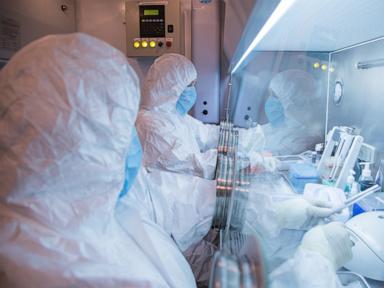 the-plague-never-went-away.-cases-are-reported-in-parts-of-africa-and-the-us-nearly-every-year