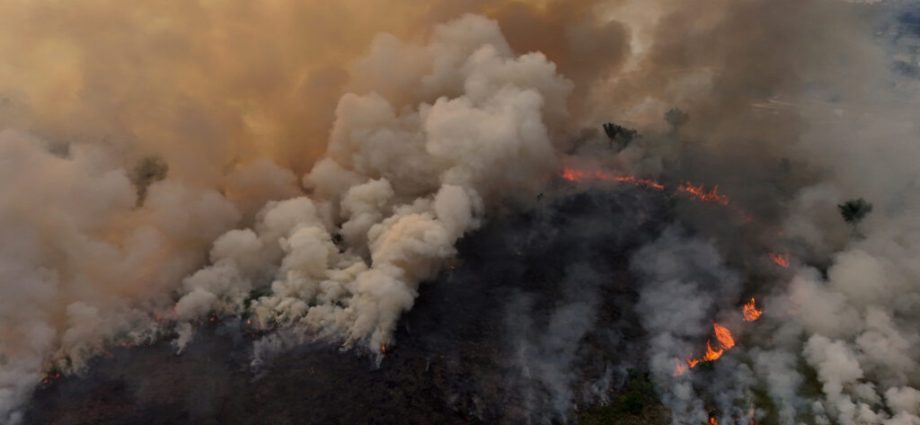 compounding-climate-impacts-drive-tropical-forest-decline