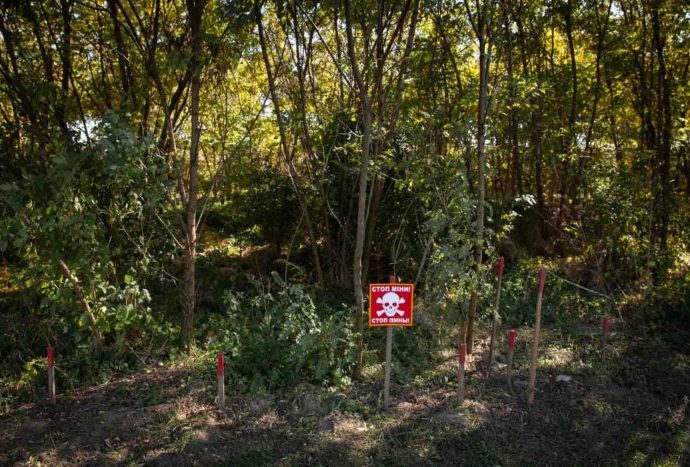 two-14-year-old-boys-killed-by-an-explosive-device-in-a-field-in-sumy-oblast