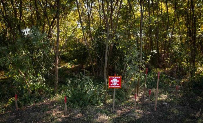 two-14-year-old-boys-killed-by-an-explosive-device-in-a-field-in-sumy-oblast