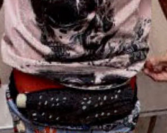 21-birds-are-found-at-miami-airport-stuffed-in-underwear-and-hidden-in-a-belt