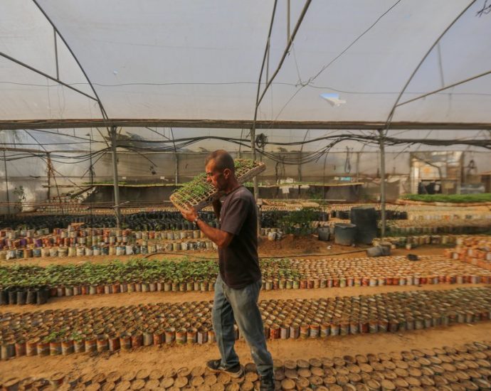 planting-one-million-seedlings