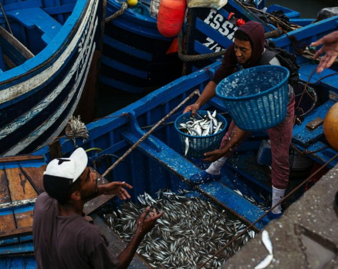 the-hidden-cost-of-farmed-fish:-pollution,-forced-labor-and-the-depletion-of-wild-fish
