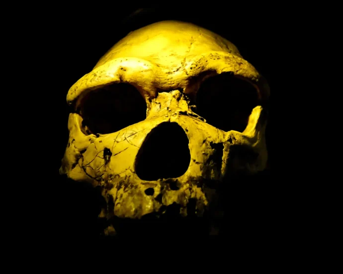 scientists-found-homo-erectus-200,000-years-earlier-than-expected