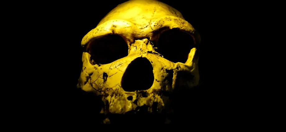 scientists-found-homo-erectus-200,000-years-earlier-than-expected