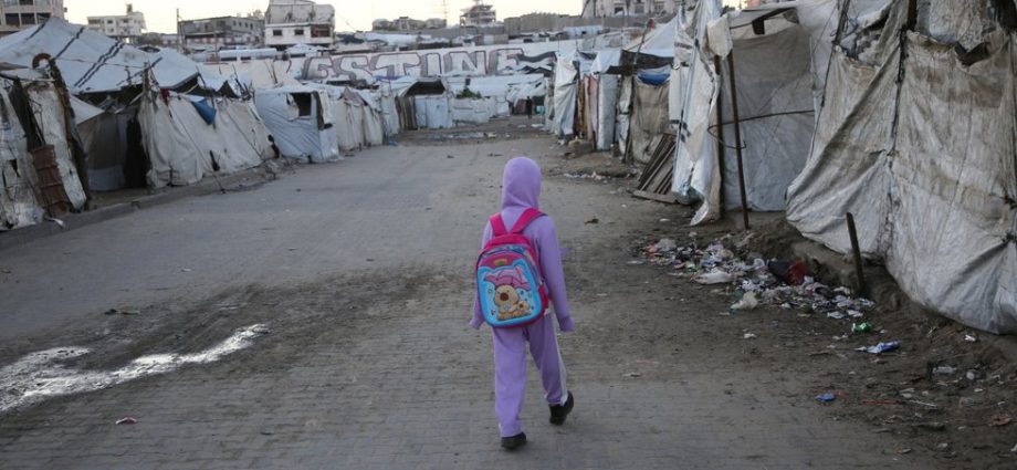 the-lives-interrupted-in-gaza