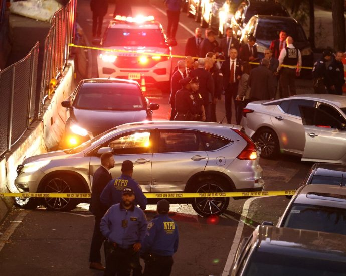 ice-shooting-in-new-york-incites-new-dispute-over-immigration-enforcement
